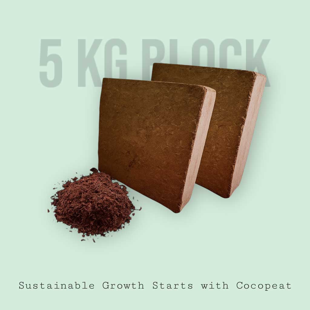 5kg block gbackground