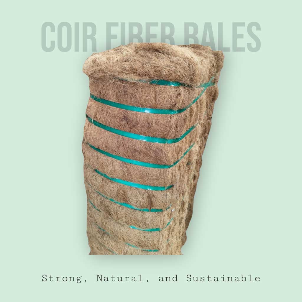 ciorfibre background