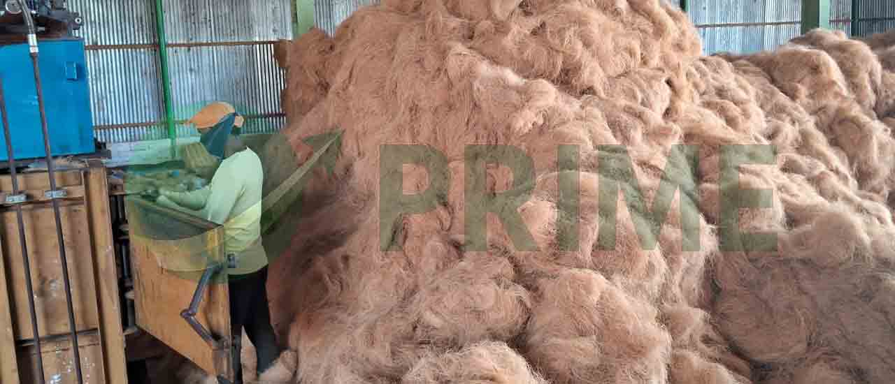 coco fibre preperation