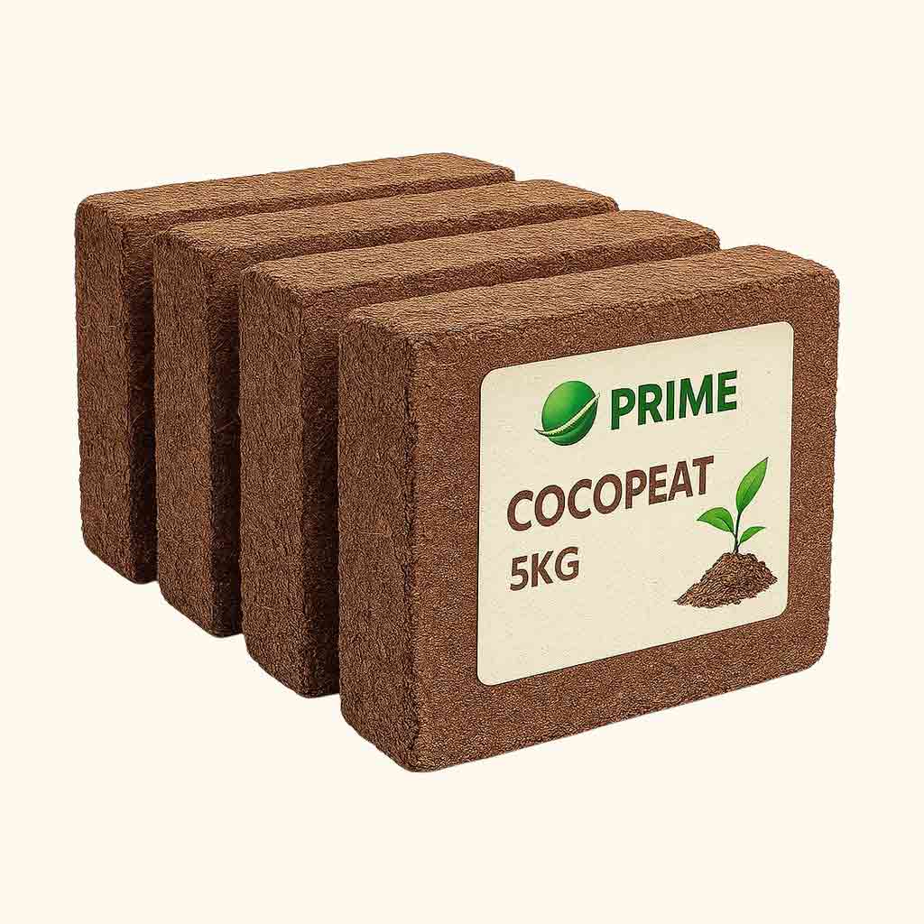 cocopeat5kg