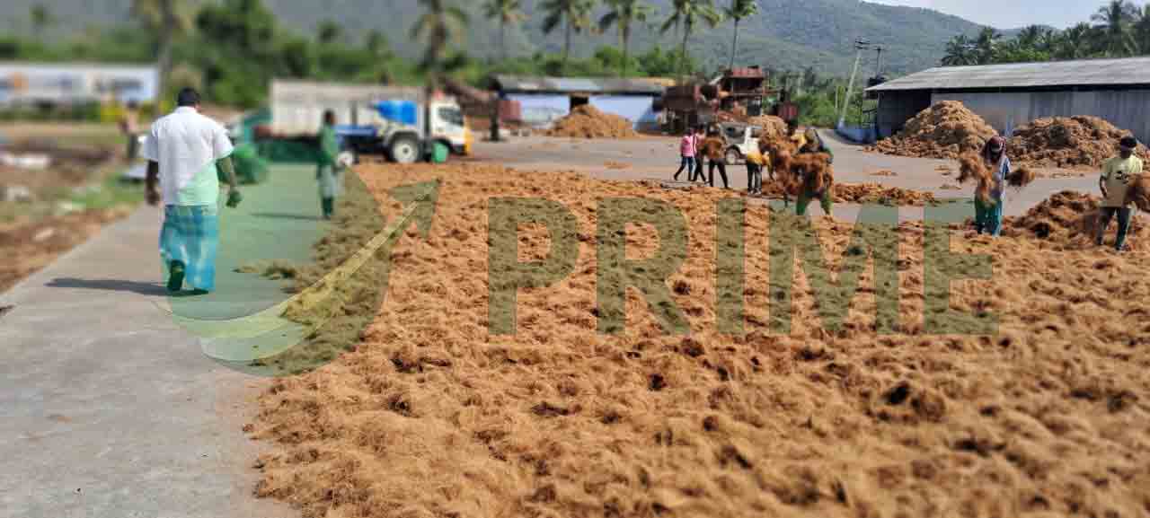 cocopeat prepaeration